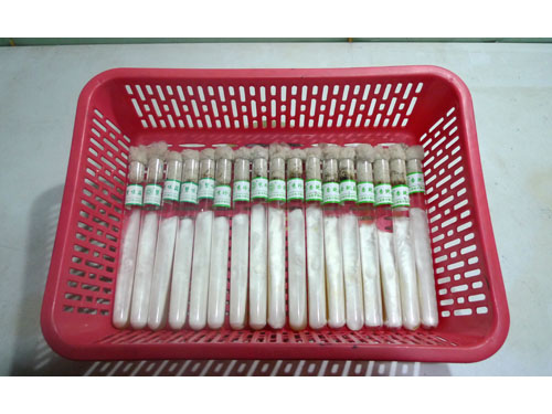 菌種周轉(zhuǎn)筐