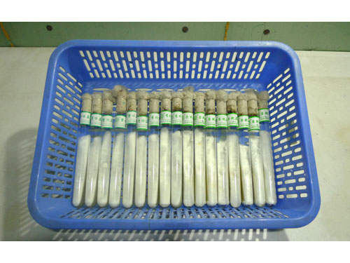 菌種周轉(zhuǎn)筐